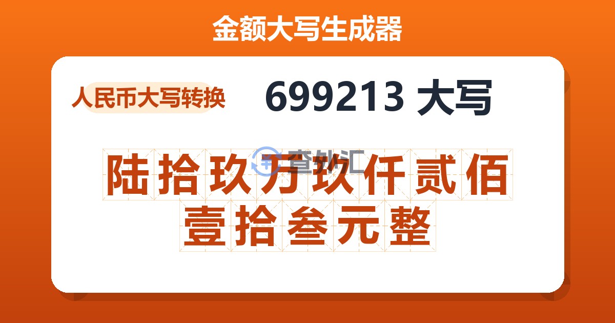 699213大写 陆拾玖万玖仟贰佰壹拾叁元整