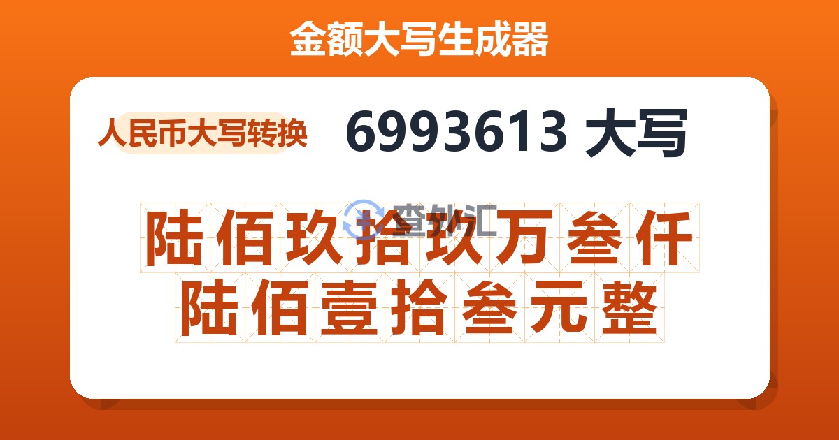 6993613大写 陆佰玖拾玖万叁仟陆佰壹拾叁元整