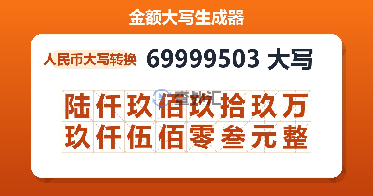 69999503大写 陆仟玖佰玖拾玖万玖仟伍佰零叁元整