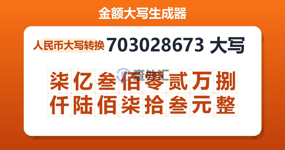 703028673大写 柒亿叁佰零贰万捌仟陆佰柒拾叁元整