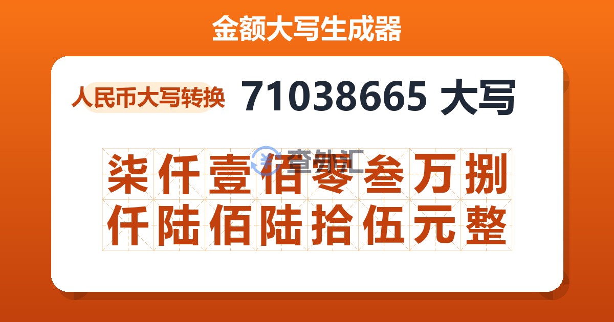 71038665大写 柒仟壹佰零叁万捌仟陆佰陆拾伍元整