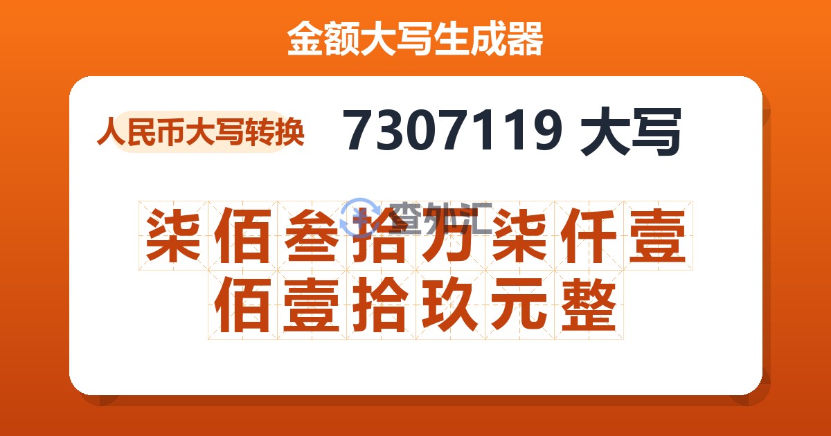7307119大写 柒佰叁拾万柒仟壹佰壹拾玖元整