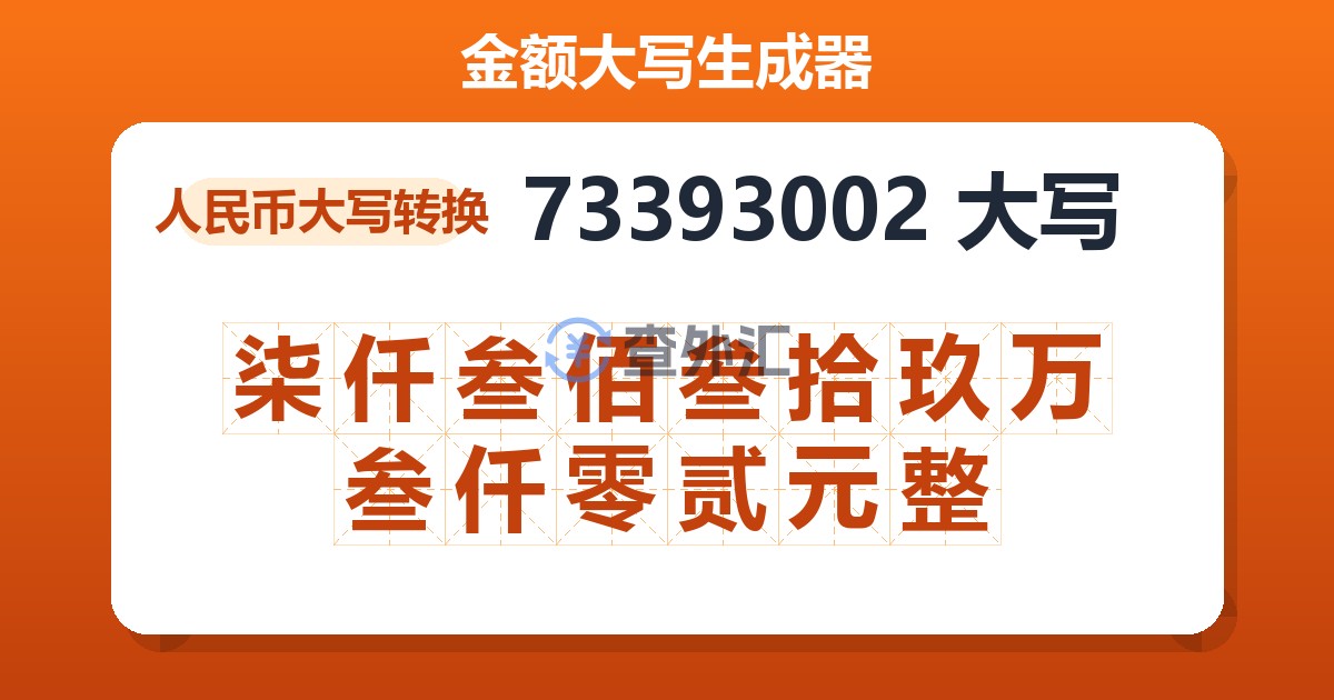 73393002大写 柒仟叁佰叁拾玖万叁仟零贰元整