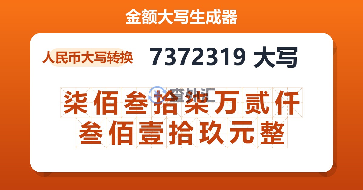 7372319大写 柒佰叁拾柒万贰仟叁佰壹拾玖元整