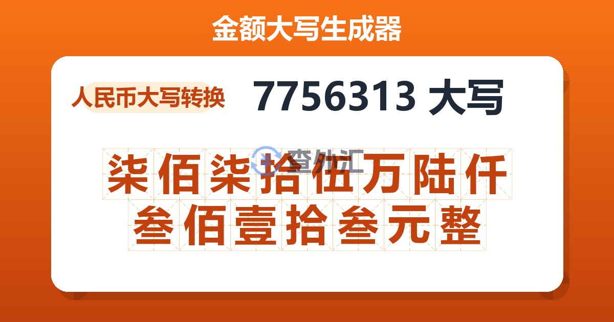 7756313大写 柒佰柒拾伍万陆仟叁佰壹拾叁元整