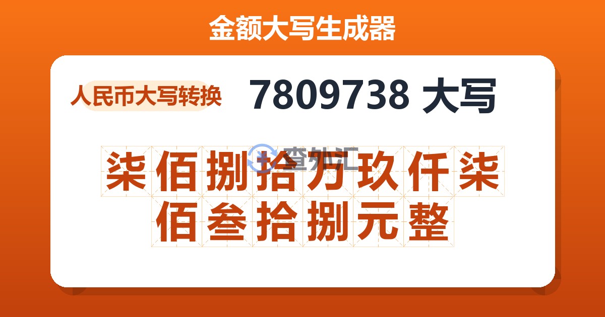 7809738大写 柒佰捌拾万玖仟柒佰叁拾捌元整