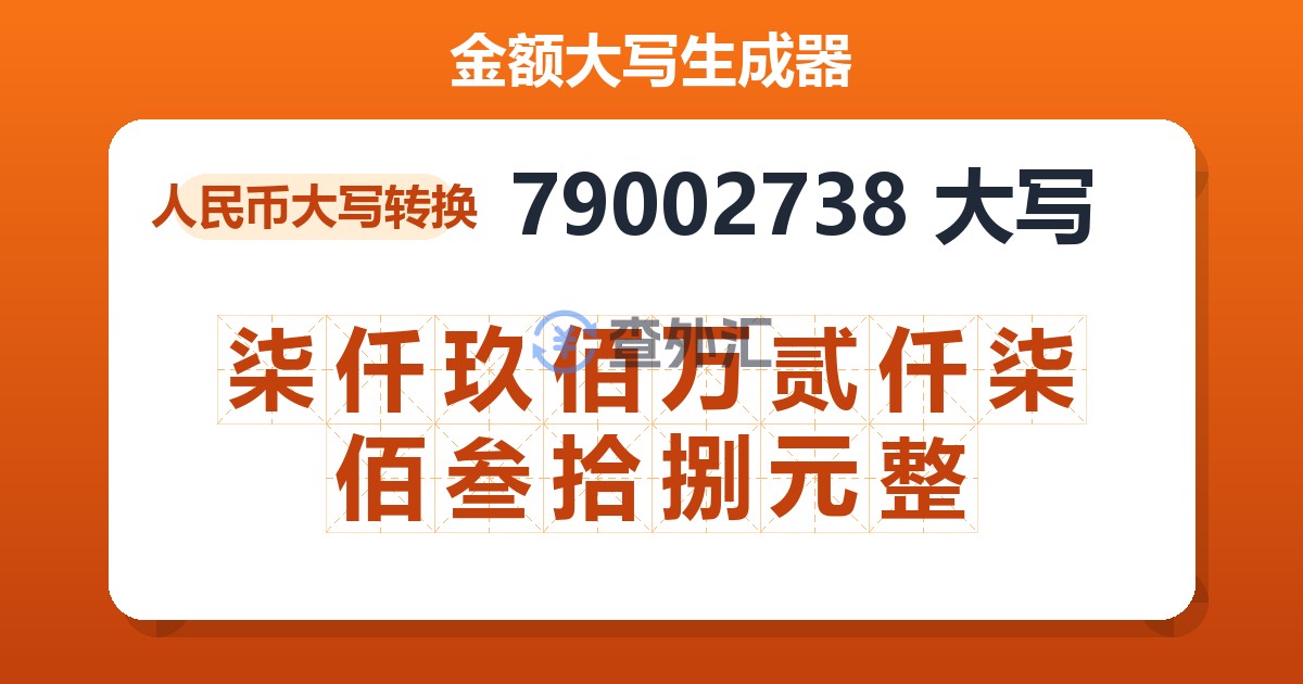 79002738大写 柒仟玖佰万贰仟柒佰叁拾捌元整
