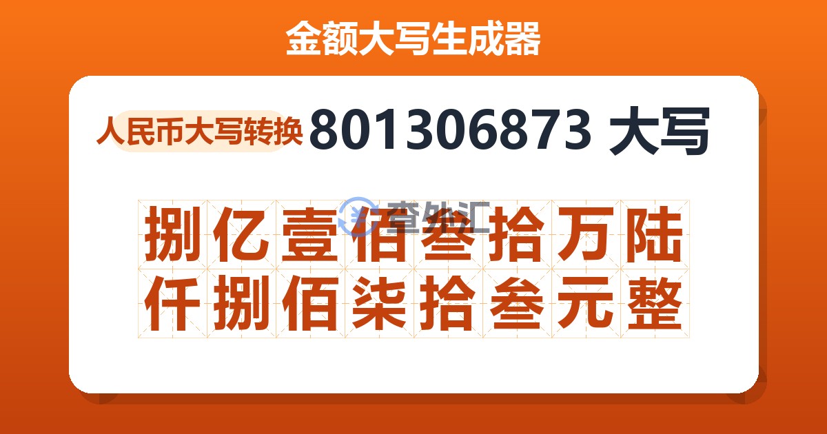 801306873大写 捌亿壹佰叁拾万陆仟捌佰柒拾叁元整