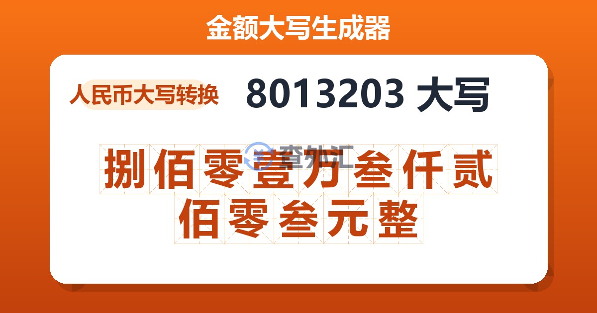 8013203大写 捌佰零壹万叁仟贰佰零叁元整