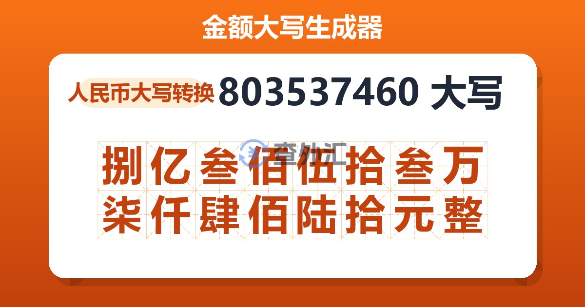 803537460大写 捌亿叁佰伍拾叁万柒仟肆佰陆拾元整