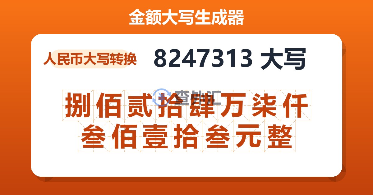 8247313大写 捌佰贰拾肆万柒仟叁佰壹拾叁元整