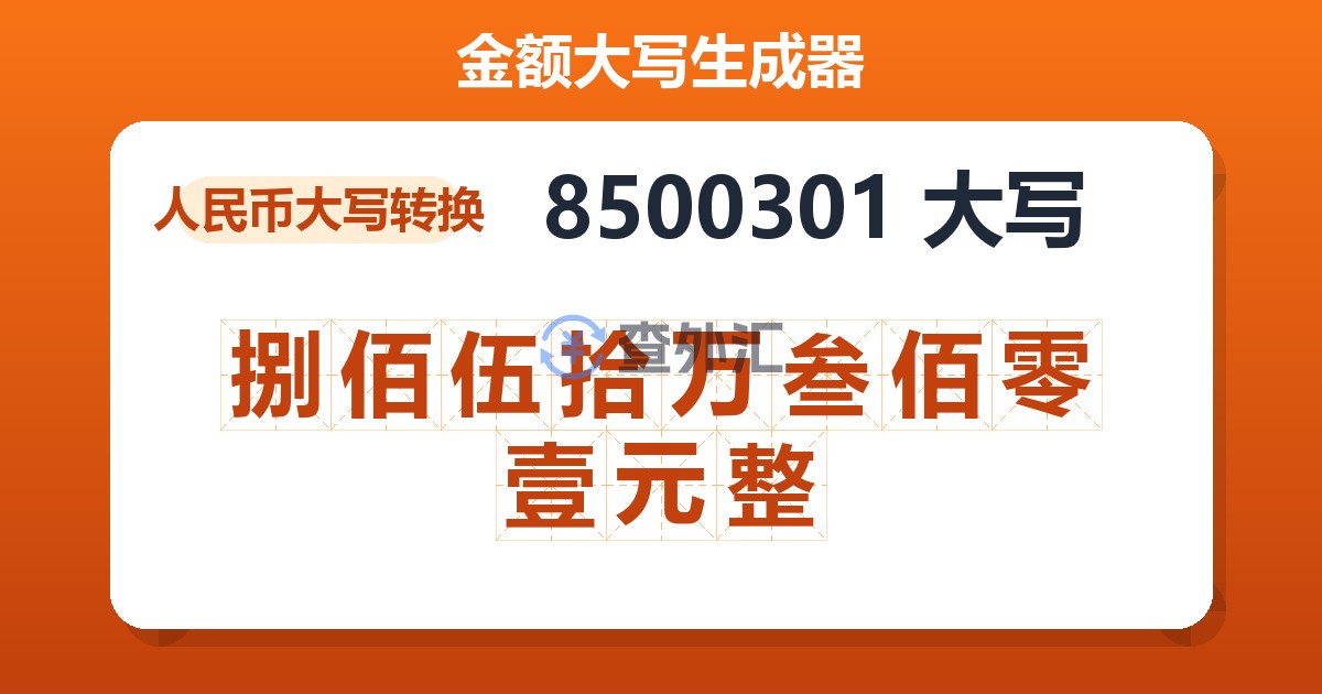8500301大写 捌佰伍拾万叁佰零壹元整