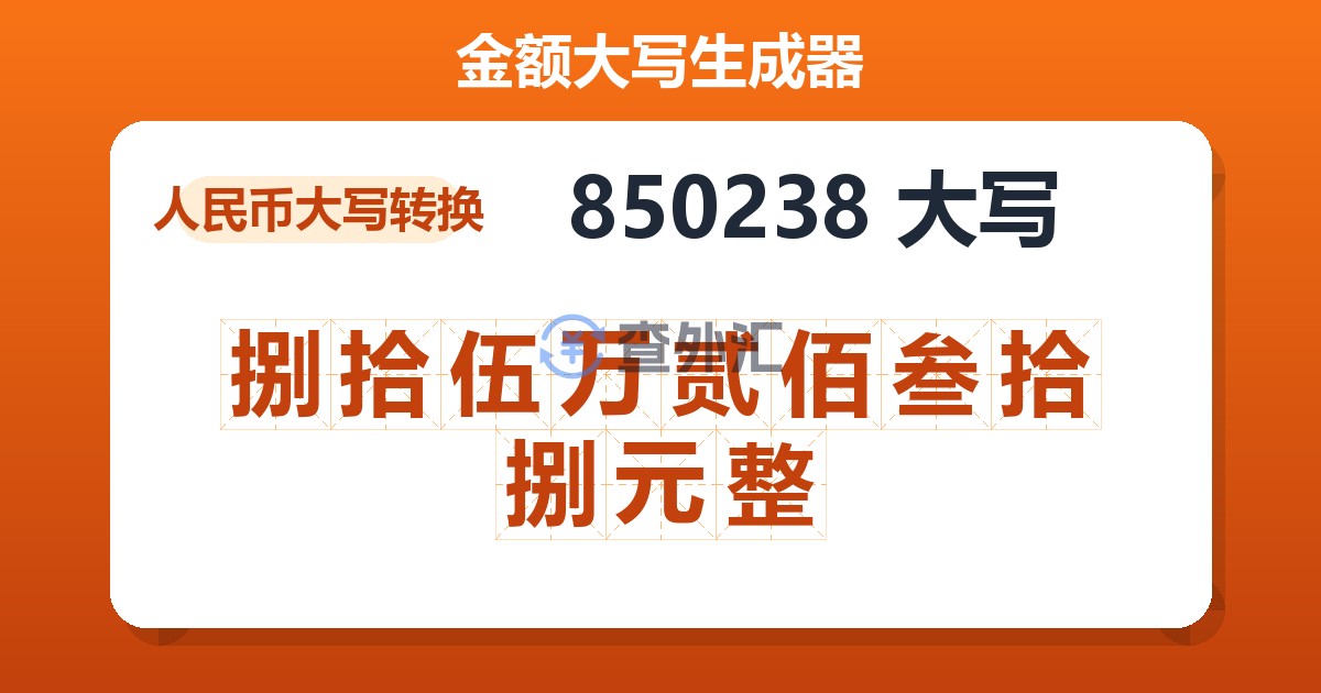 850238大写 捌拾伍万贰佰叁拾捌元整