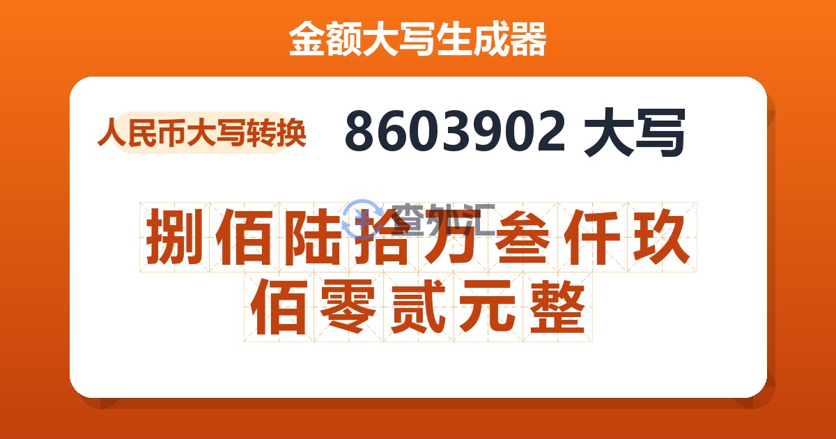 8603902大写 捌佰陆拾万叁仟玖佰零贰元整