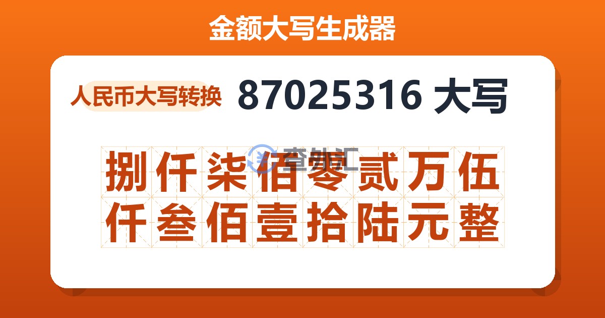 87025316大写 捌仟柒佰零贰万伍仟叁佰壹拾陆元整