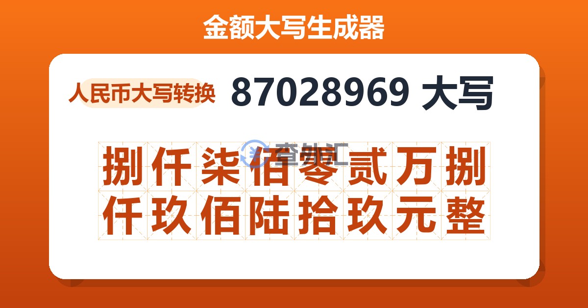 87028969大写 捌仟柒佰零贰万捌仟玖佰陆拾玖元整