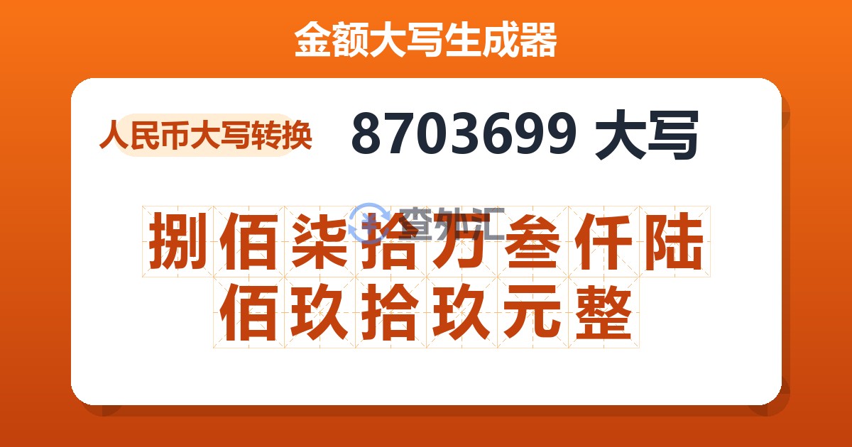 8703699大写 捌佰柒拾万叁仟陆佰玖拾玖元整