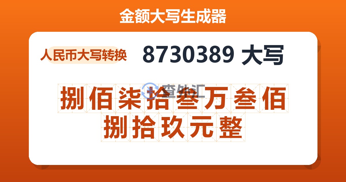 8730389大写 捌佰柒拾叁万叁佰捌拾玖元整
