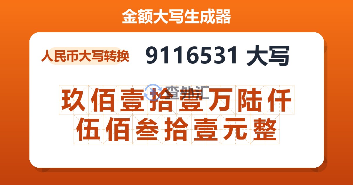 9116531大写 玖佰壹拾壹万陆仟伍佰叁拾壹元整