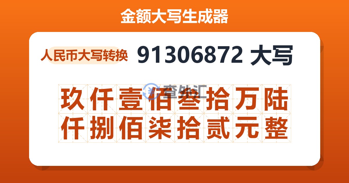 91306872大写 玖仟壹佰叁拾万陆仟捌佰柒拾贰元整