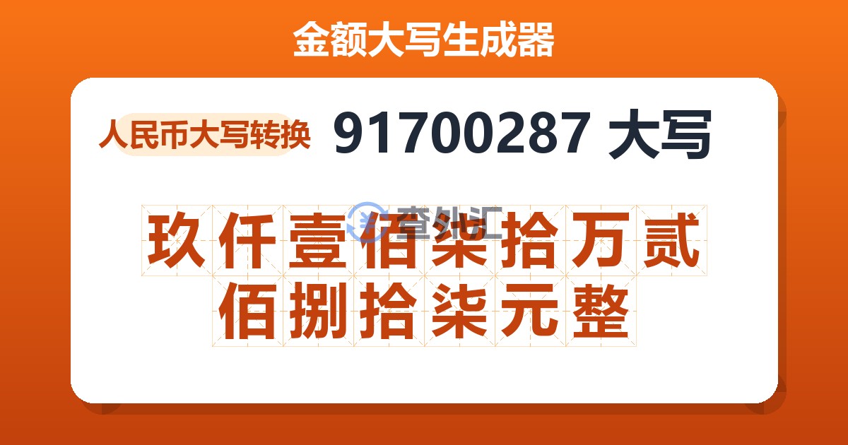 91700287大写 玖仟壹佰柒拾万贰佰捌拾柒元整