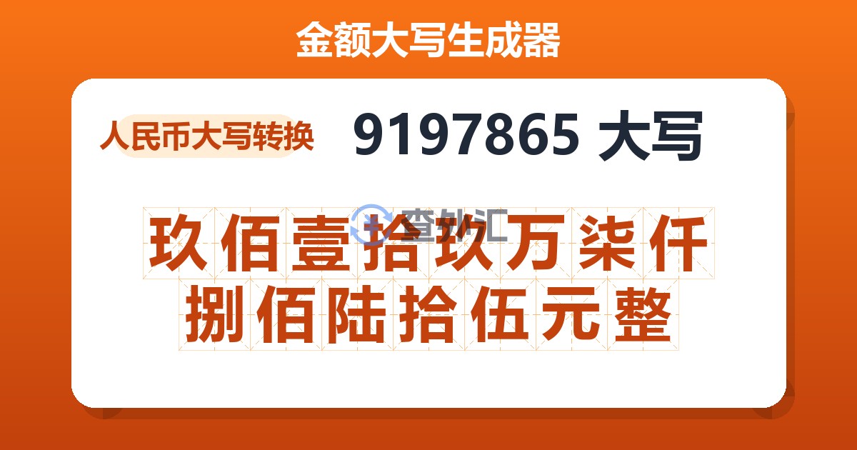 9197865大写 玖佰壹拾玖万柒仟捌佰陆拾伍元整