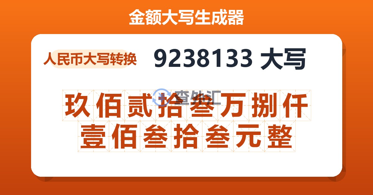 9238133大写 玖佰贰拾叁万捌仟壹佰叁拾叁元整