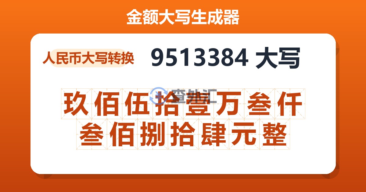 9513384大写 玖佰伍拾壹万叁仟叁佰捌拾肆元整