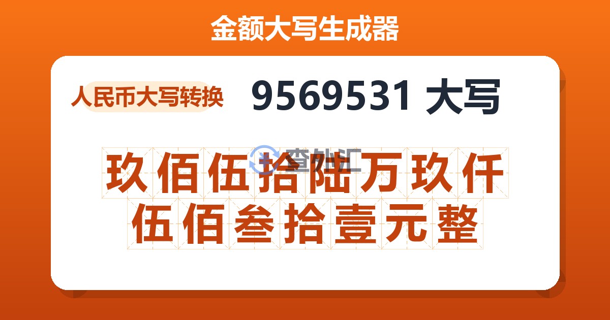9569531大写 玖佰伍拾陆万玖仟伍佰叁拾壹元整