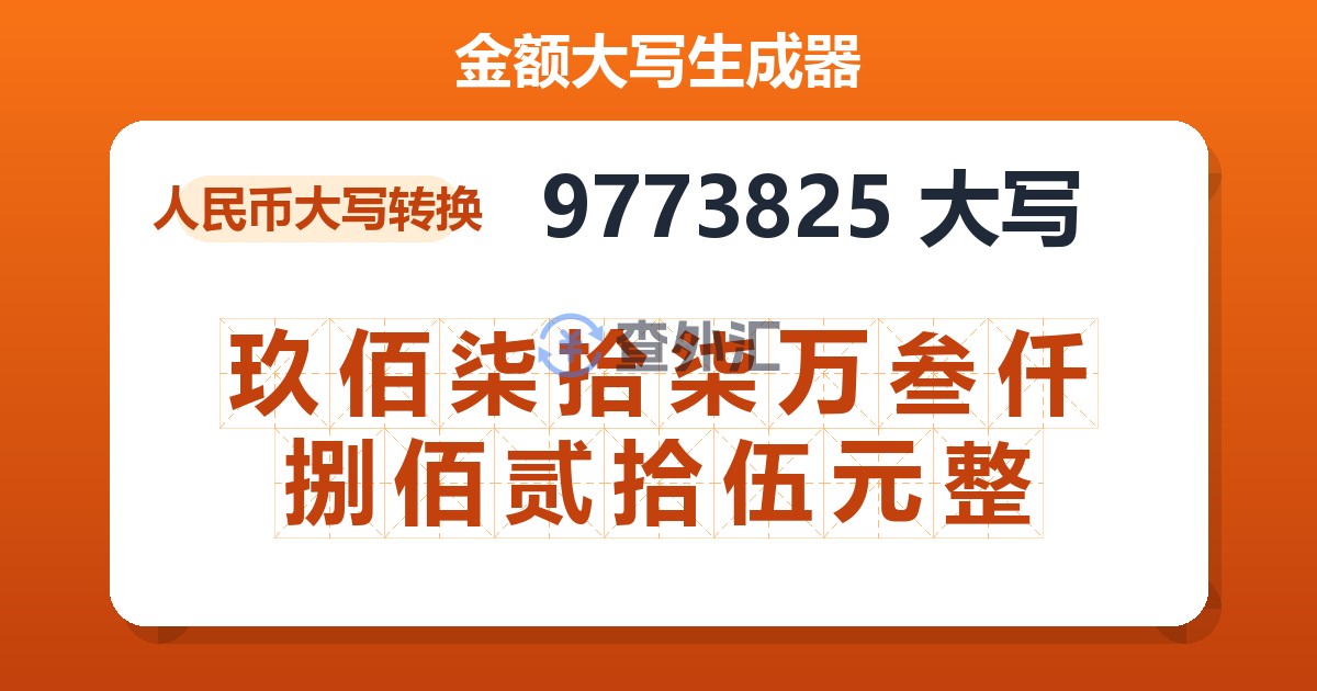 9773825大写 玖佰柒拾柒万叁仟捌佰贰拾伍元整