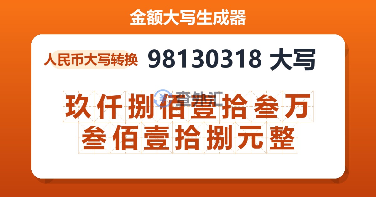 98130318大写 玖仟捌佰壹拾叁万叁佰壹拾捌元整