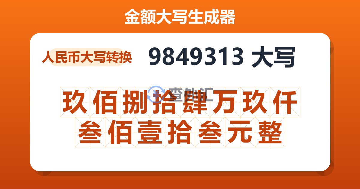 9849313大写 玖佰捌拾肆万玖仟叁佰壹拾叁元整
