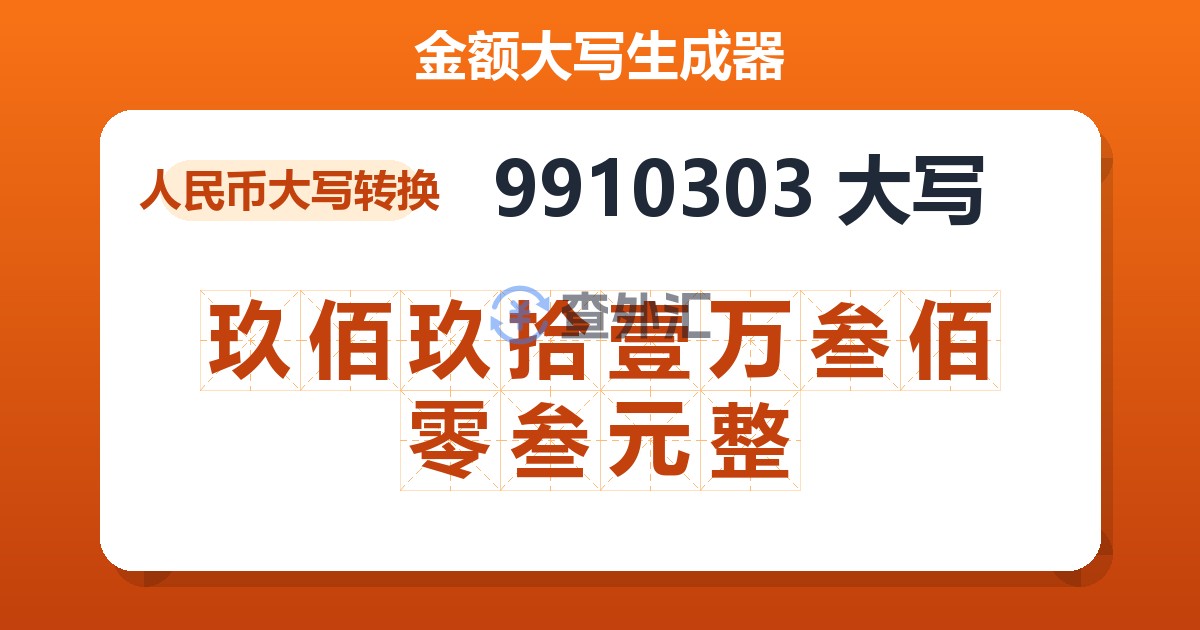 9910303大写 玖佰玖拾壹万叁佰零叁元整