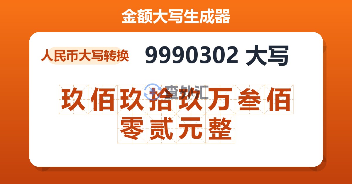 9990302大写 玖佰玖拾玖万叁佰零贰元整