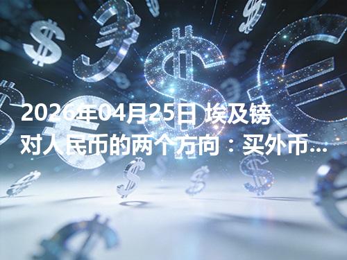 2026年04月25日 埃及镑对人民币的两个方向：买外币与换回人民币怎么估算