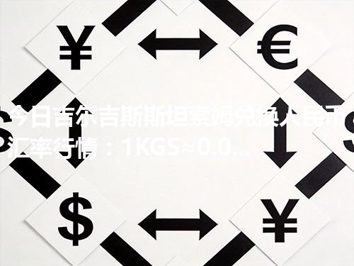 今日吉尔吉斯斯坦索姆兑换人民币汇率行情：1KGS≈0.078175元（2026年04月30日更新）