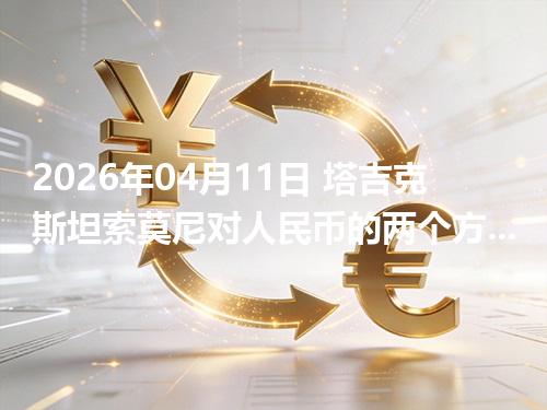 2026年04月11日 塔吉克斯坦索莫尼对人民币的两个方向：买外币与换回人民币怎么估算