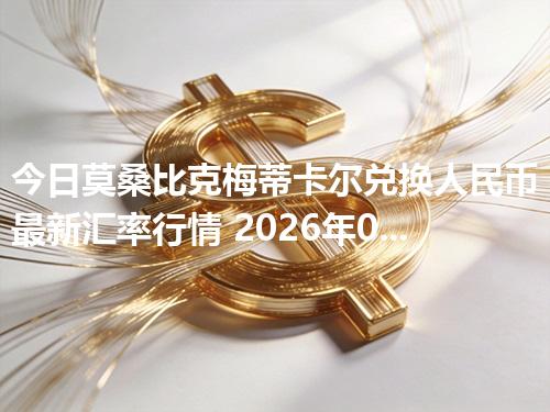今日莫桑比克梅蒂卡尔兑换人民币最新汇率行情 2026年04月13日