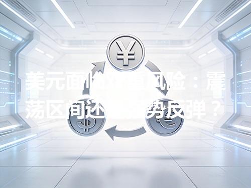 美元面临双重风险：震荡区间还是强势反弹？